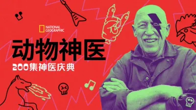 动物神医：200集神医庆典