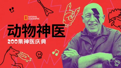 thumbnail - 动物神医：200集神医庆典