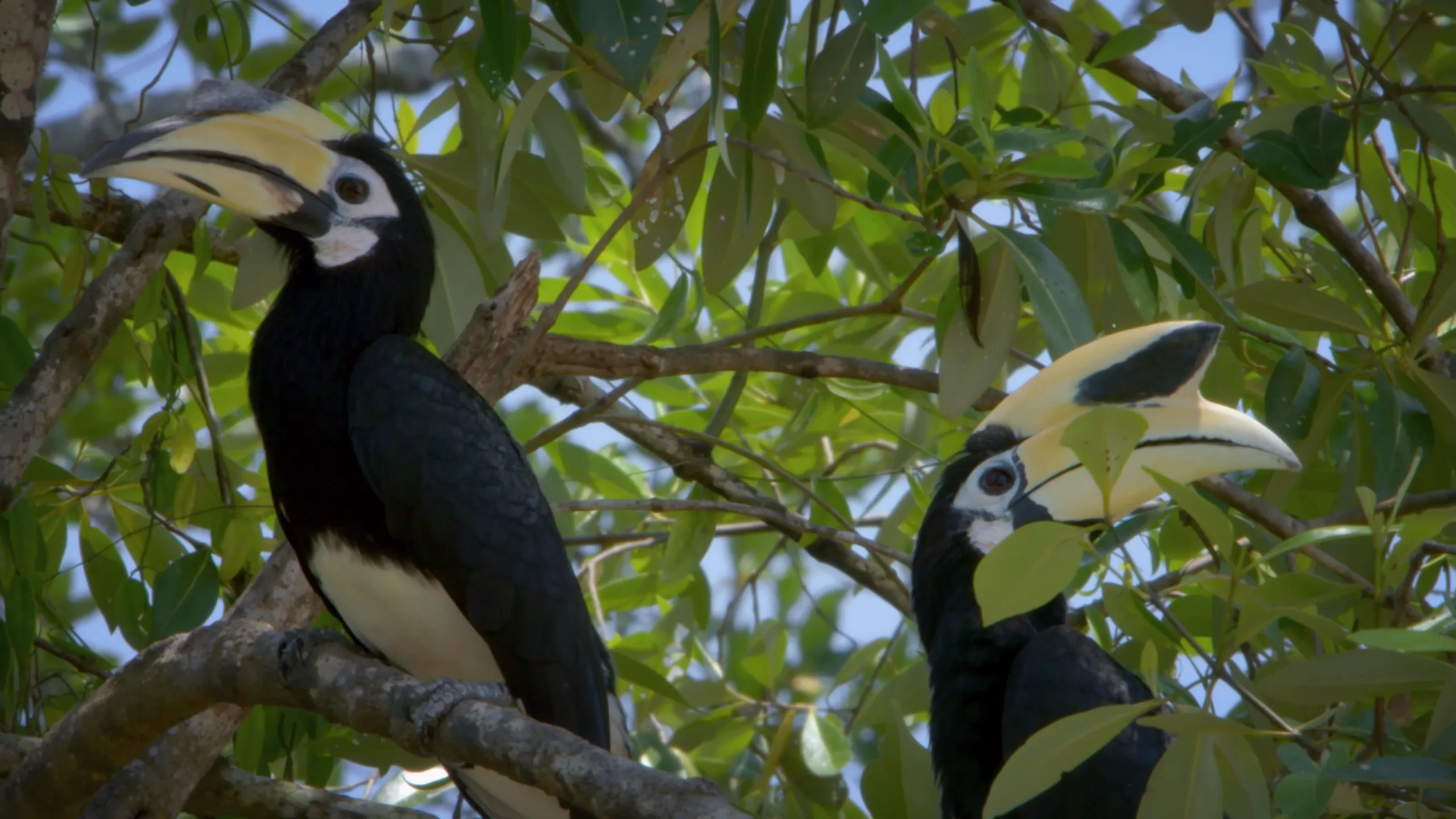 thumbnail - S1:E4 Sidekicks