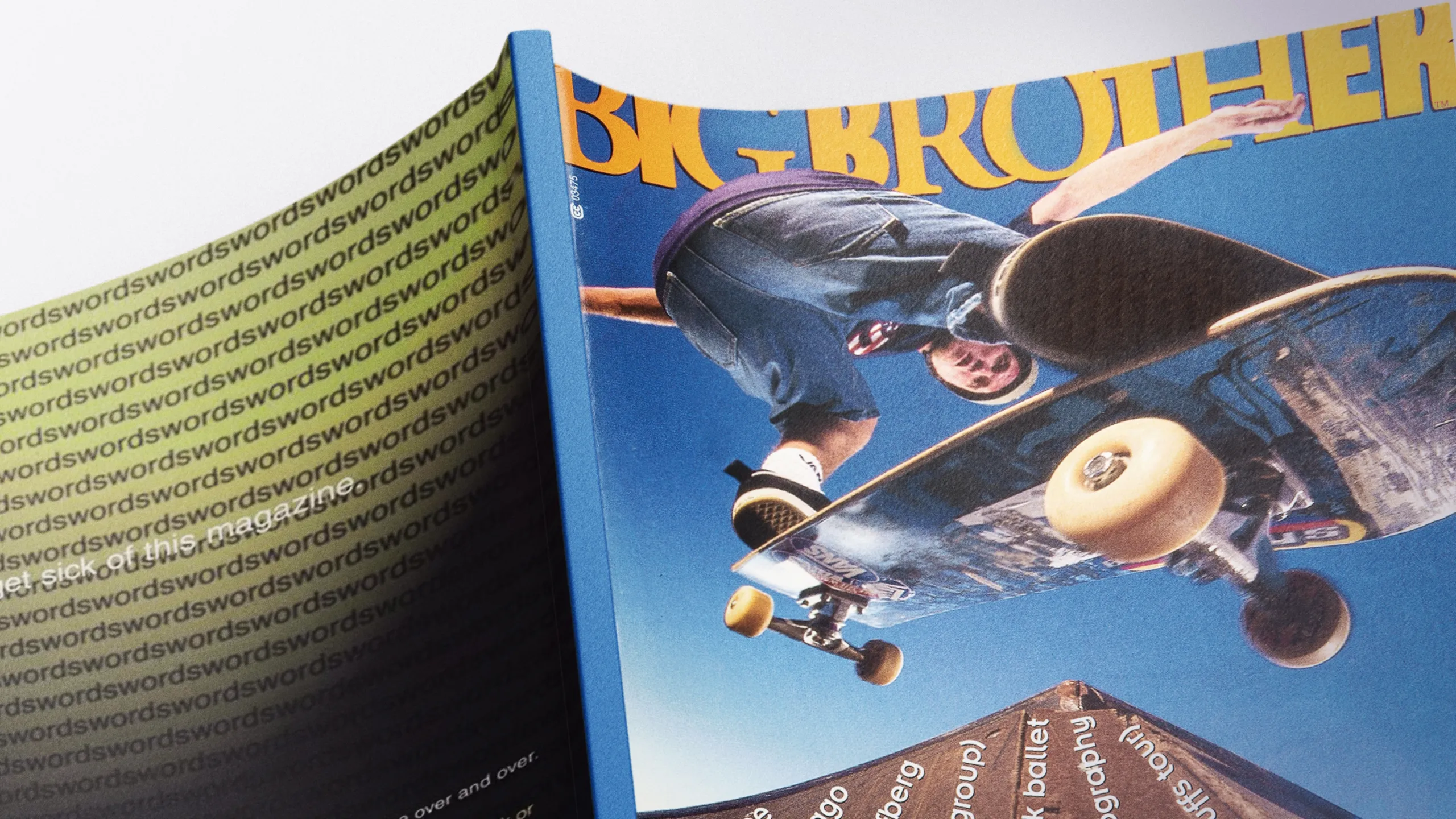 Dumb: The Story of Big Brother Magazine