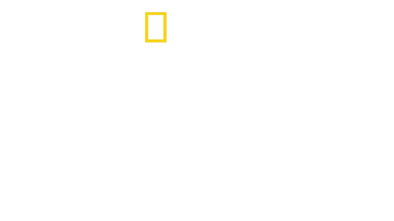Beskyddare av Egyptens skatter
