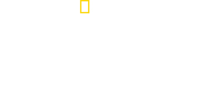 Império Selvagem