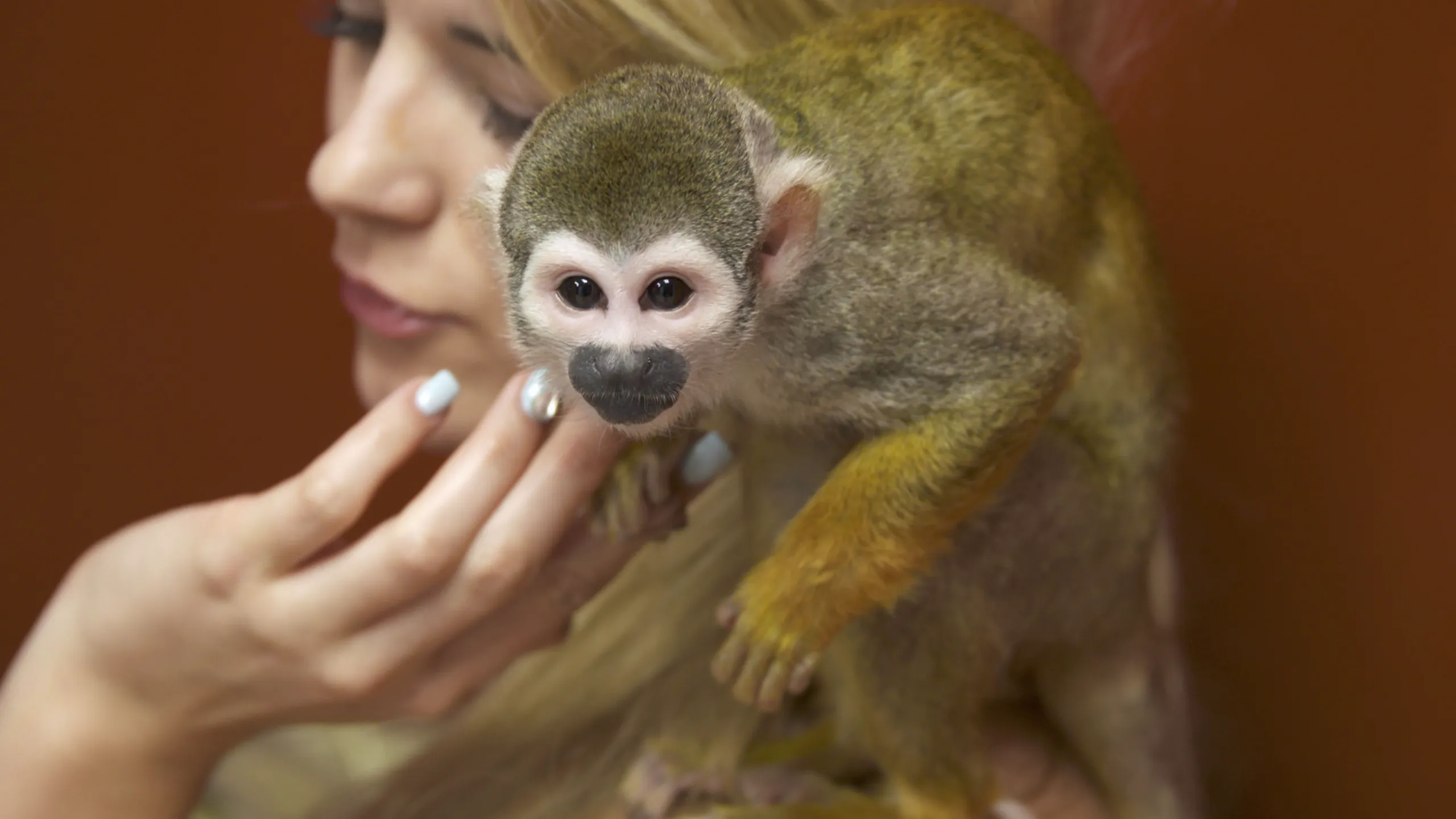 thumbnail - S5:E2 Animali Curiosi