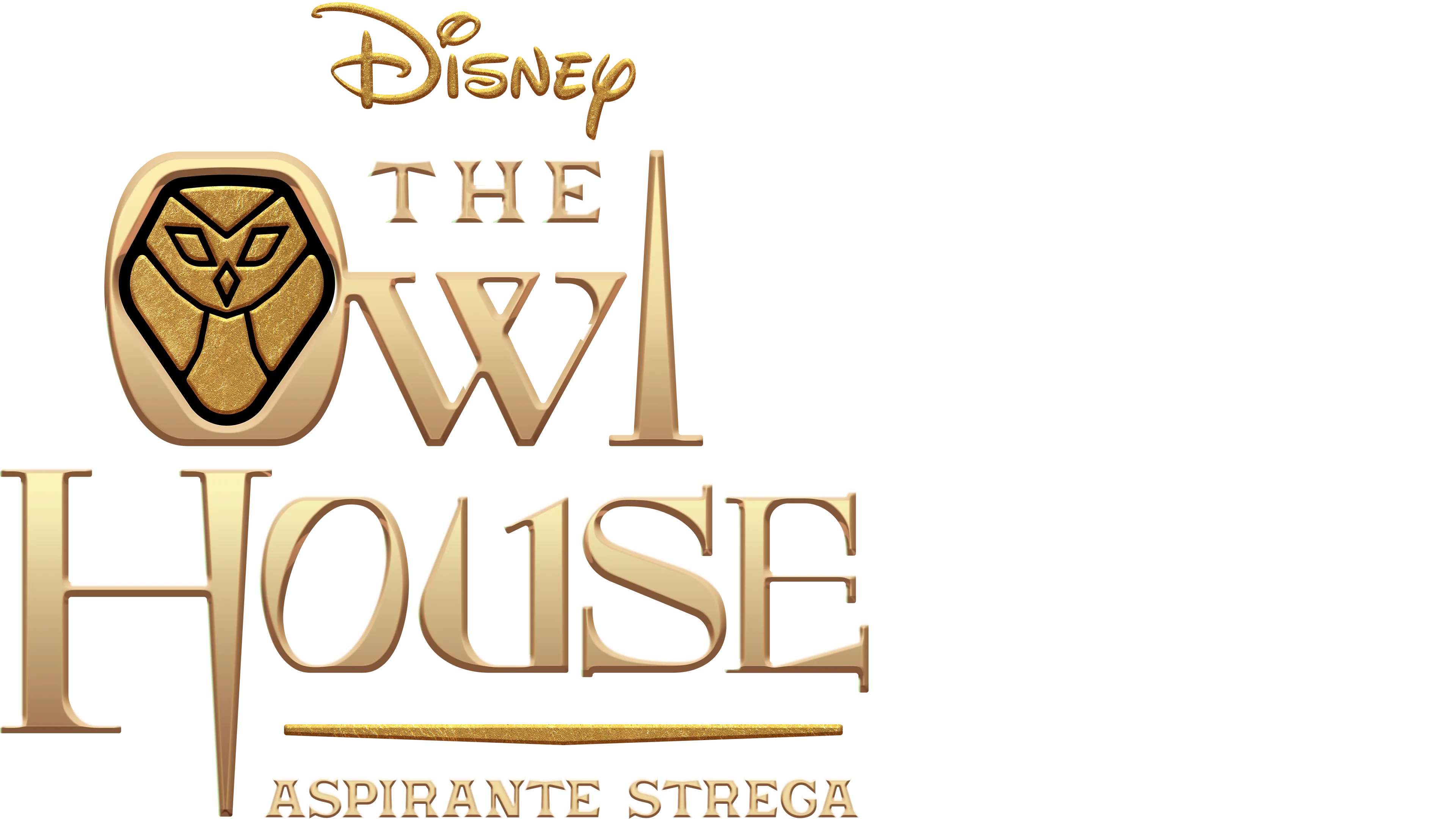 The Owl House - Aspirante Strega