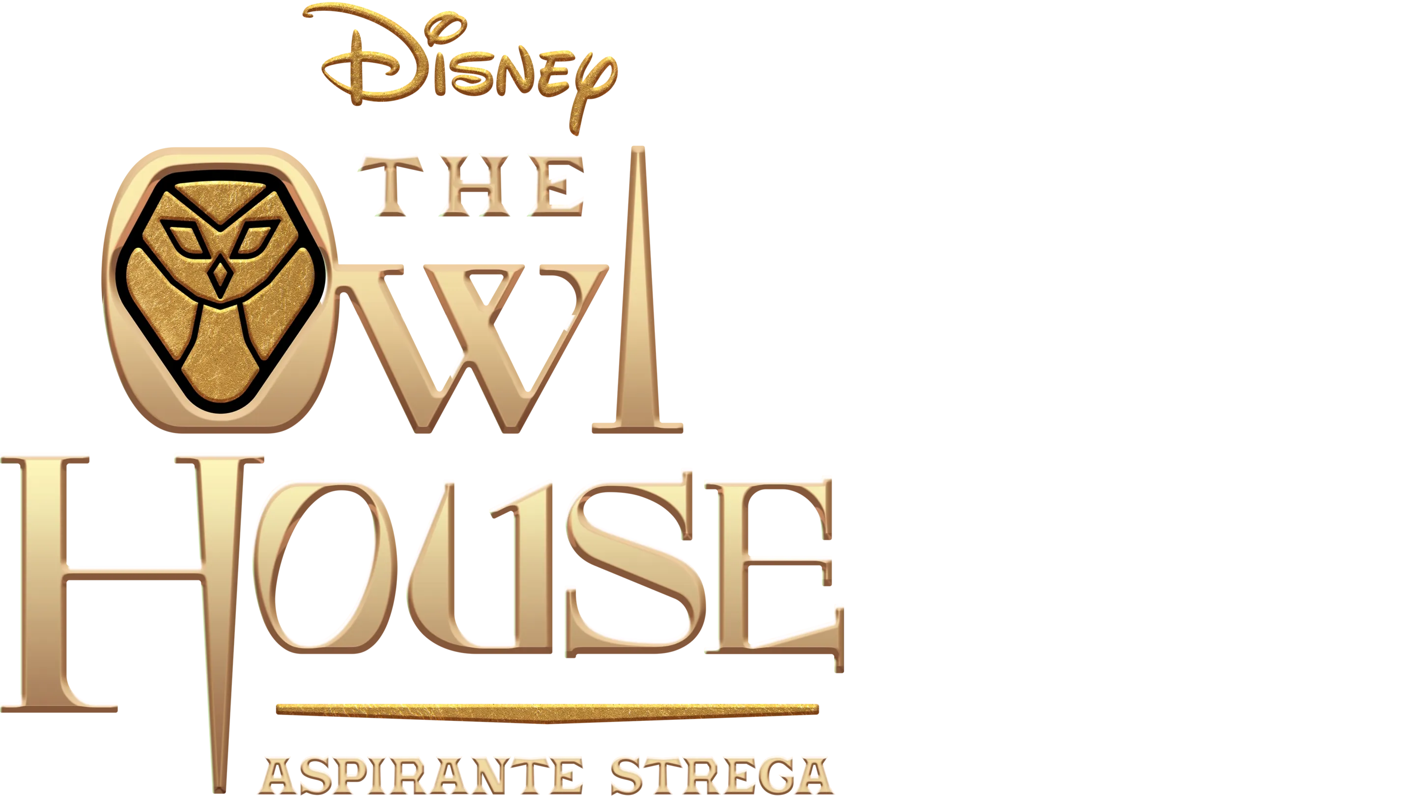 The Owl House - Aspirante Strega