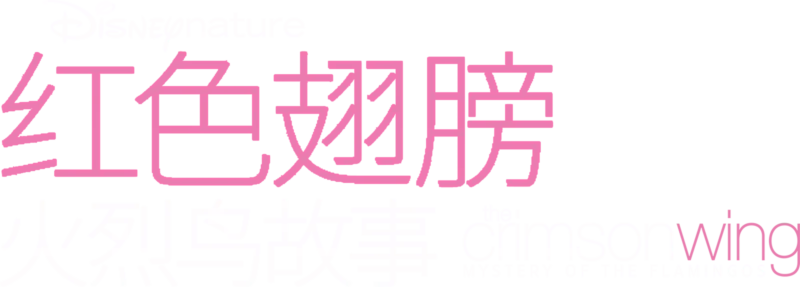 红色翅膀：火烈鸟故事