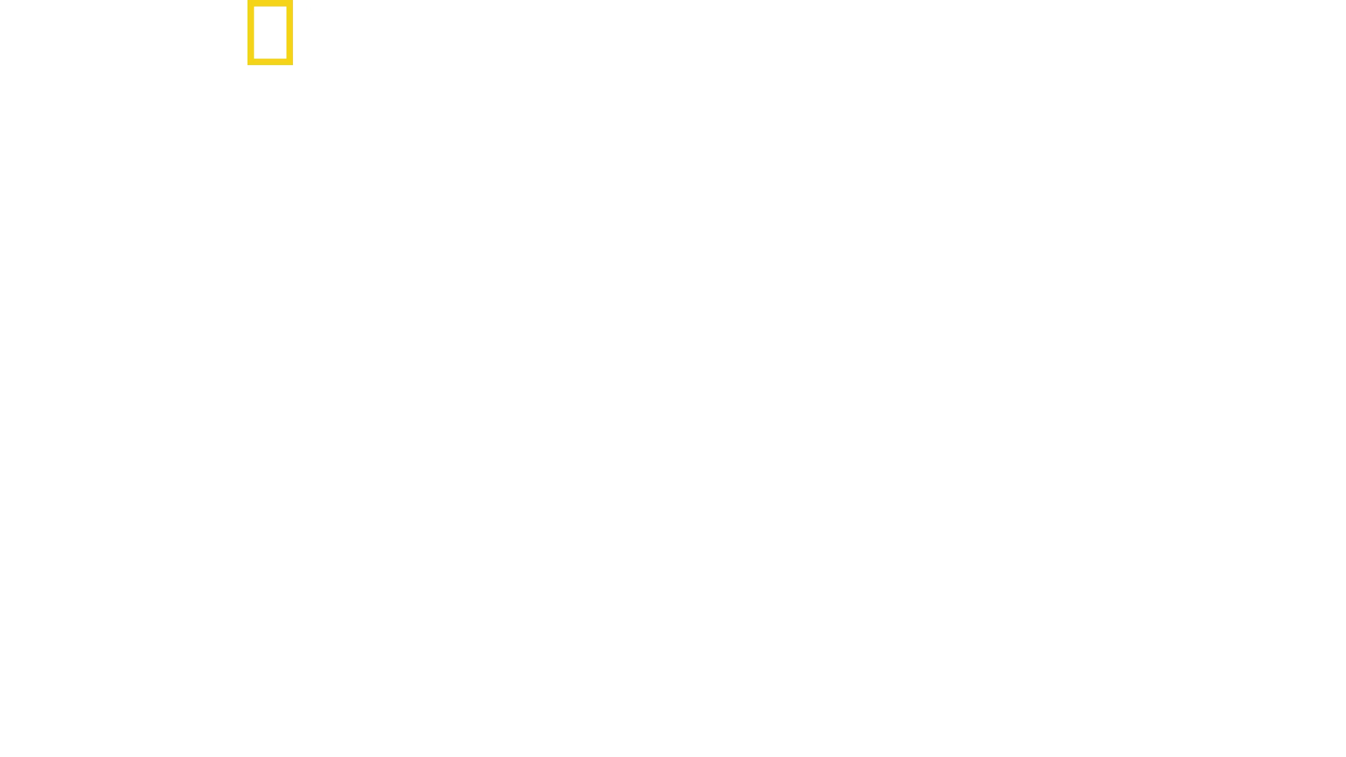 SS: Le squadre della morte