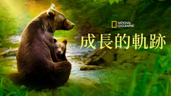 thumbnail - 成長的軌跡