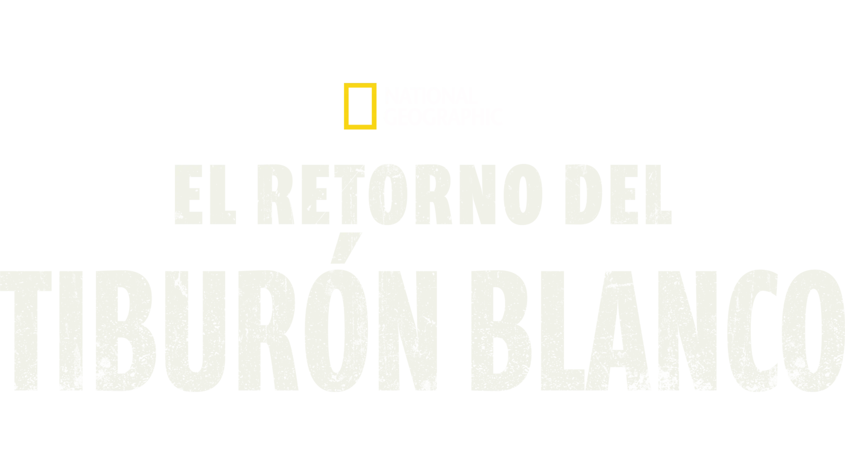 El Retorno del Tiburón Blanco