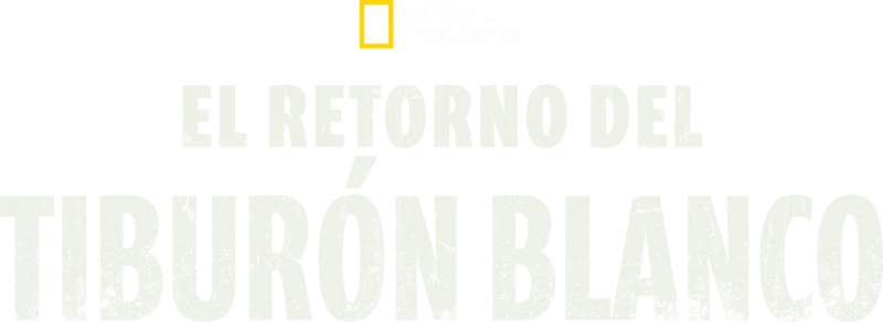 El Retorno del Tiburón Blanco
