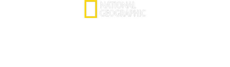 리멤버 알렉스