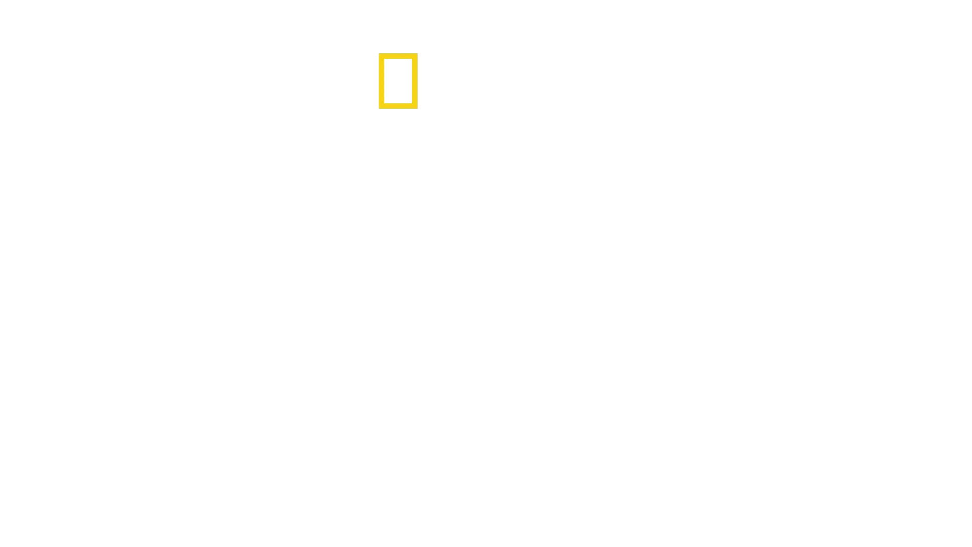 Dr. K's Exotic Animal ER