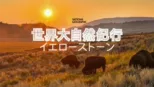 thumbnail - 世界大自然紀行：イエローストーン