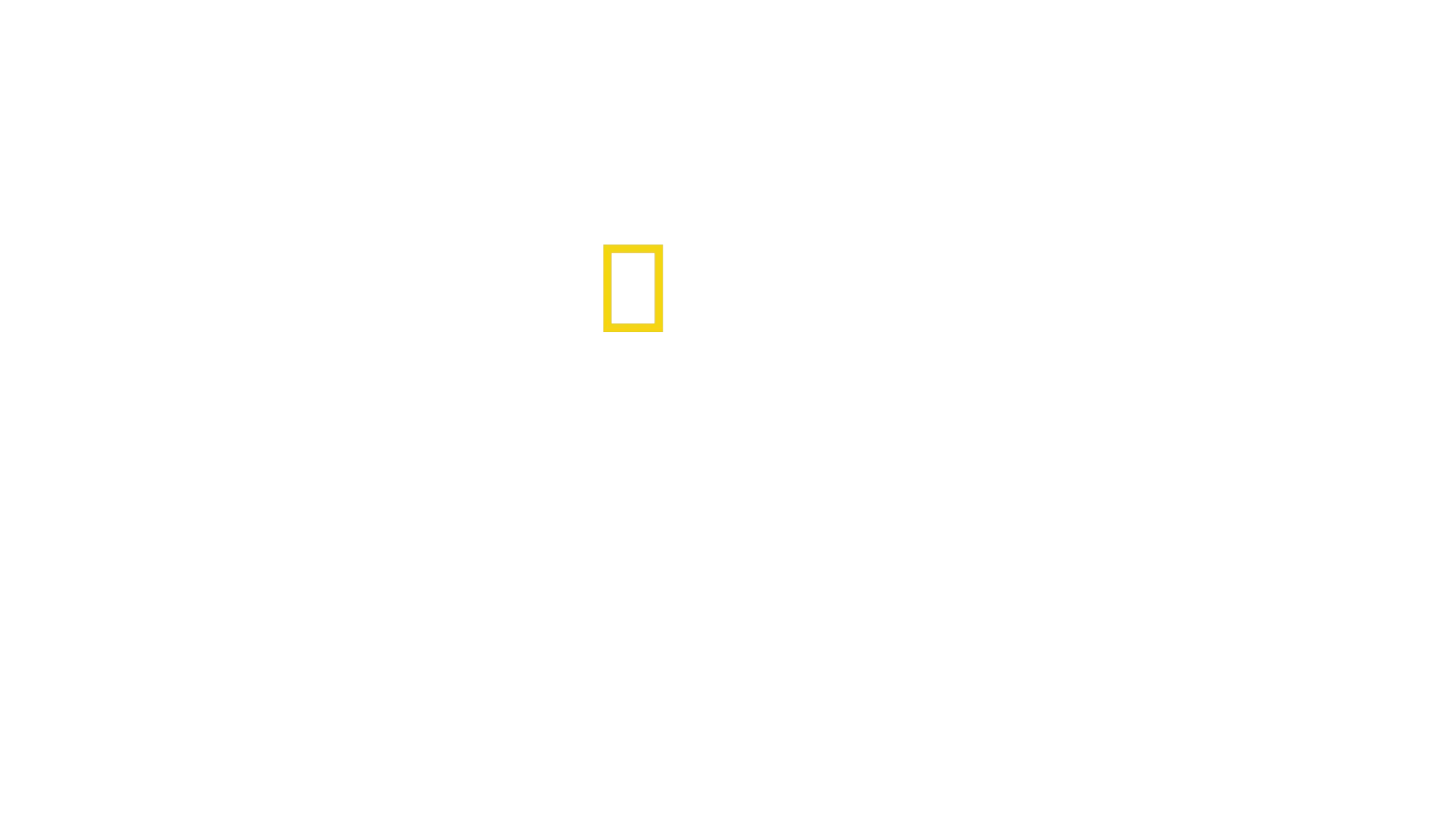 美国国旗制造者