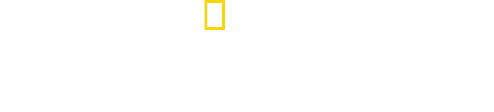 美国国旗制造者