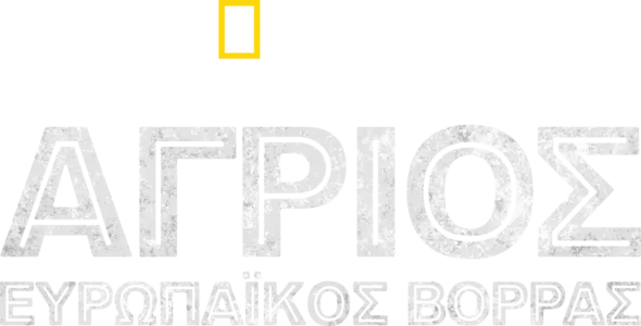 Άγριος Ευρωπαϊκός Βορράς
