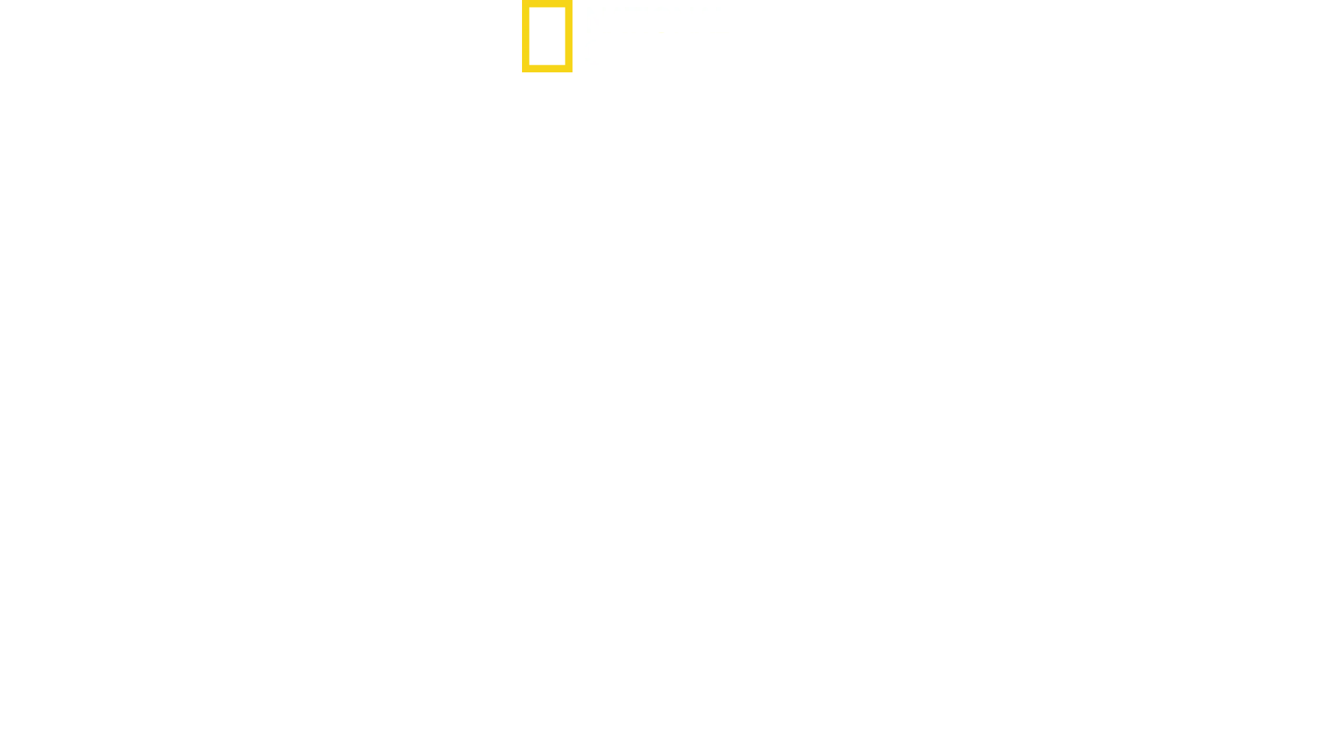 WW2 Hell Under the Sea