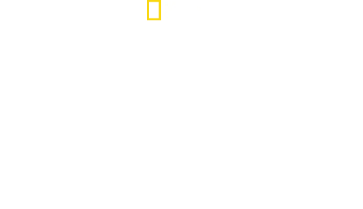 WW2 Hell Under the Sea