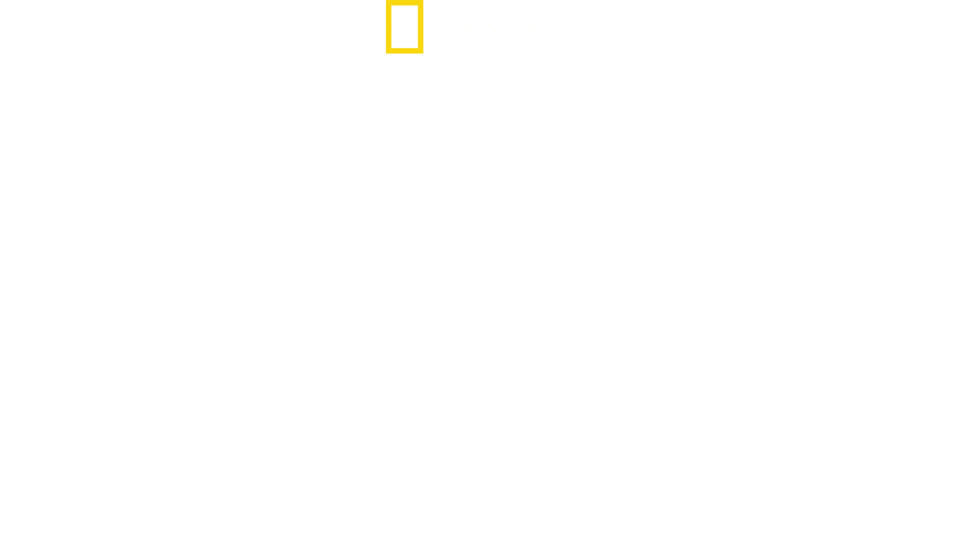 WW2 Hell Under the Sea