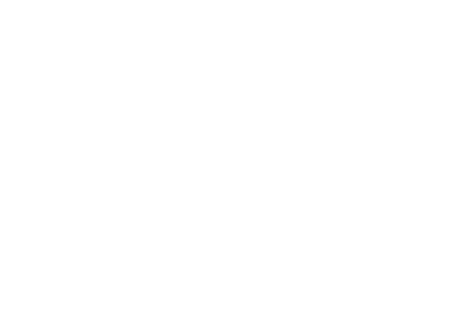 La Società Segreta dei Principi Minori