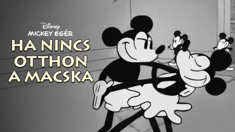 thumbnail - Ha nincs otthon a macska