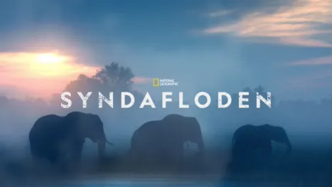 thumbnail - Syndafloden