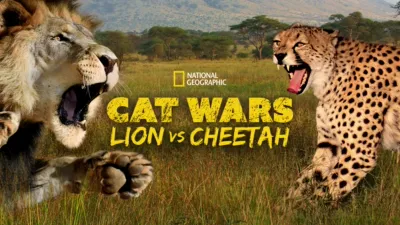 Cat Wars: Lion vs. Cheetah