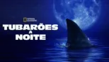 thumbnail - Tubarões à Noite