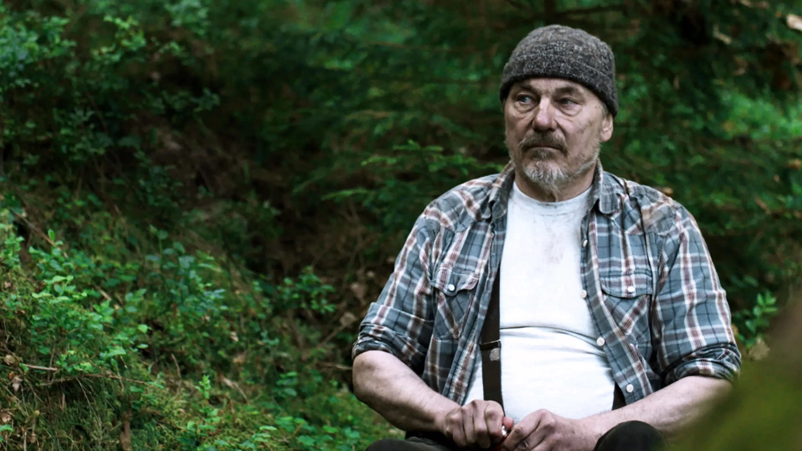 Drachenkrieger: Das Geheimnis der Wikinger