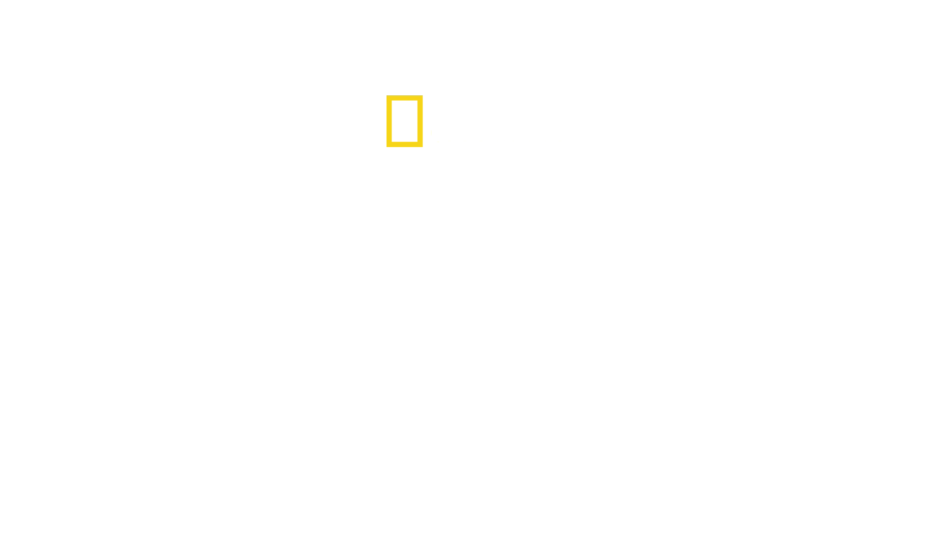 Chain of Command