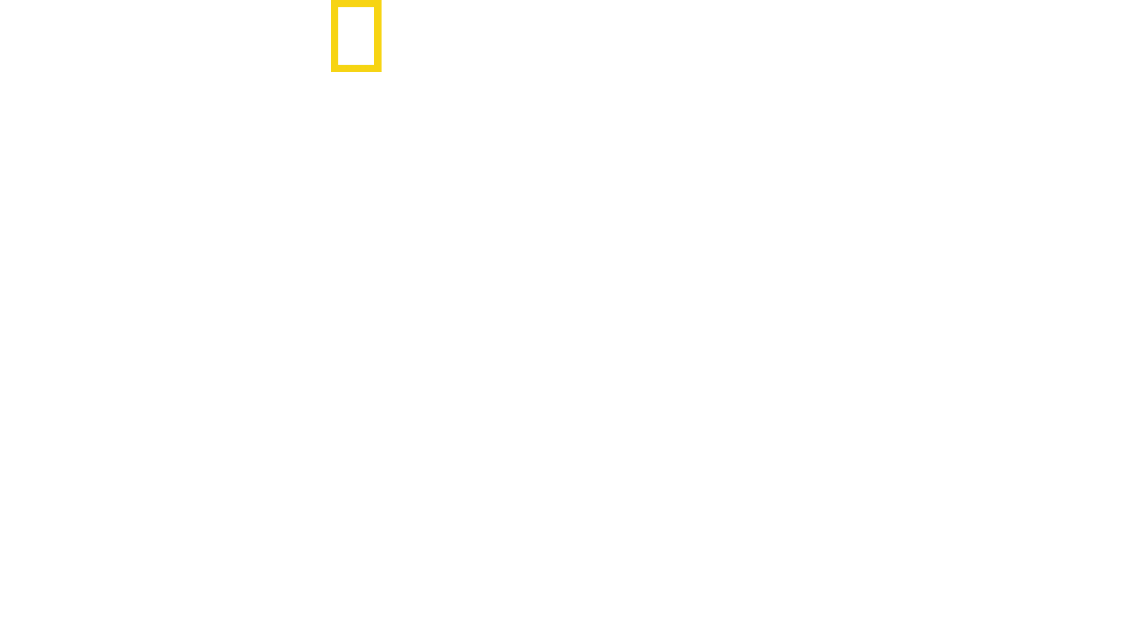 Schlagzeilen gegen Hitler