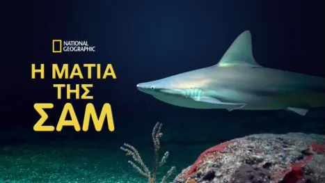 thumbnail - Η Ματιά της Σαμ