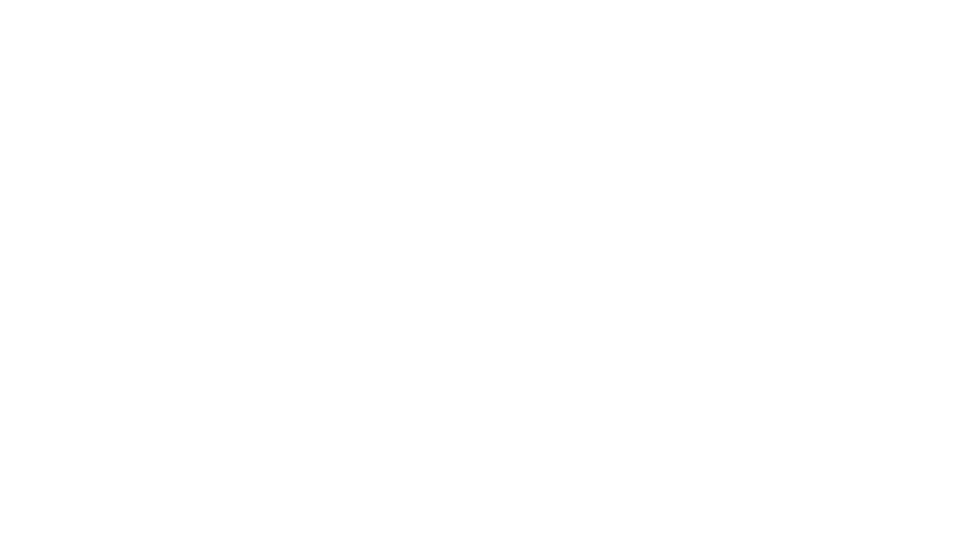 Flight Of The Phoenix