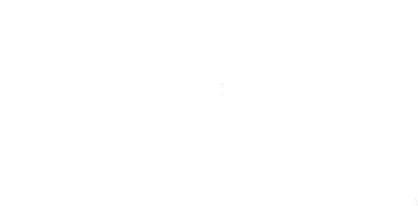 Flight Of The Phoenix