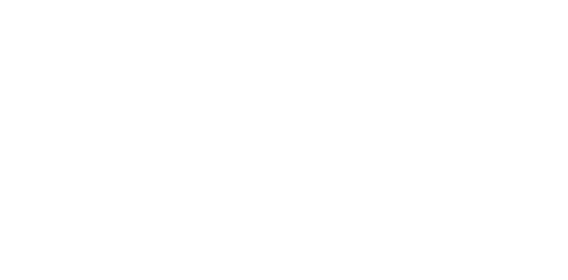 Flight Of The Phoenix