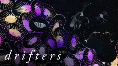 thumbnail - Drifters