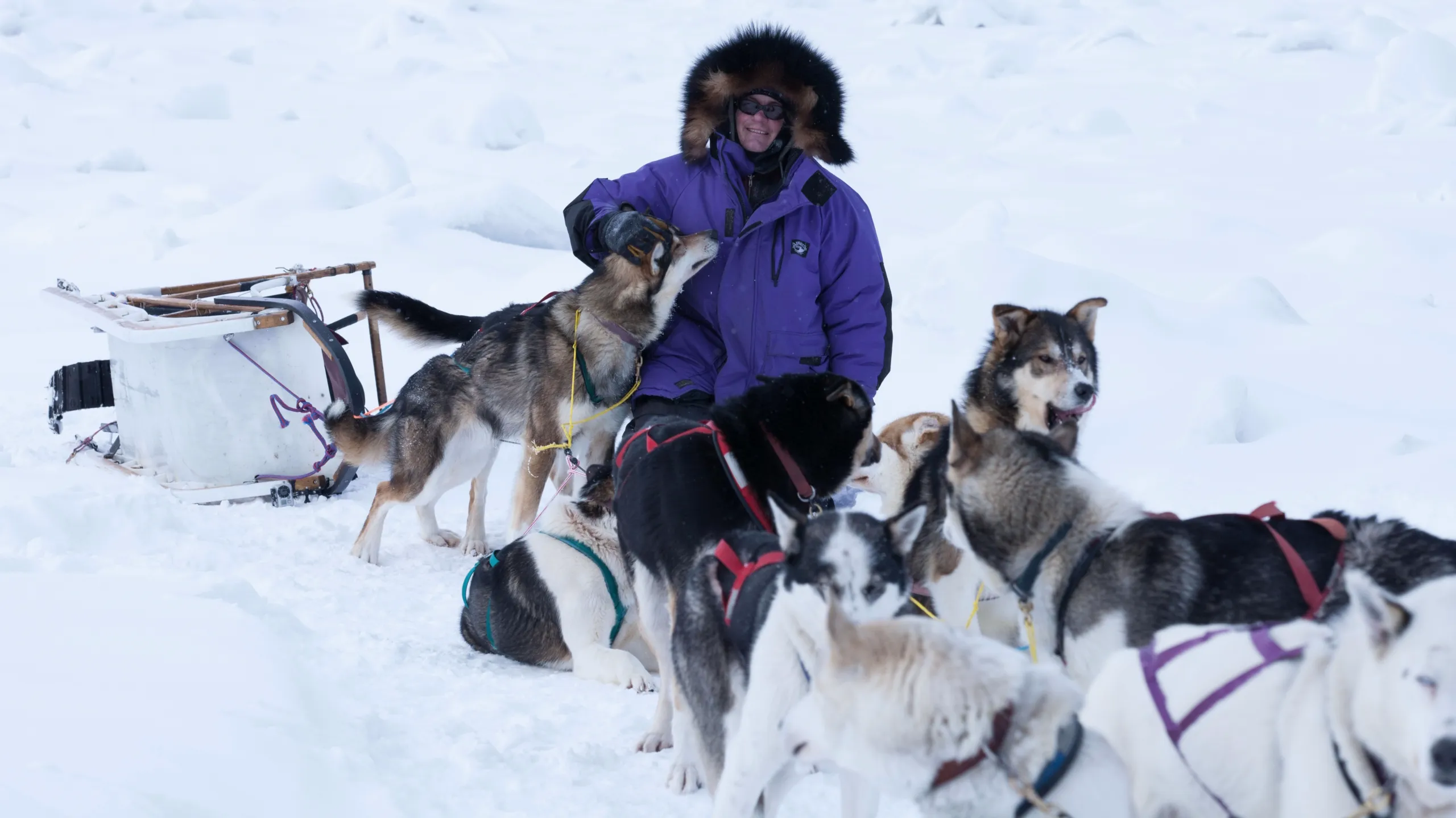 thumbnail - S1:E3 Winter's Edge