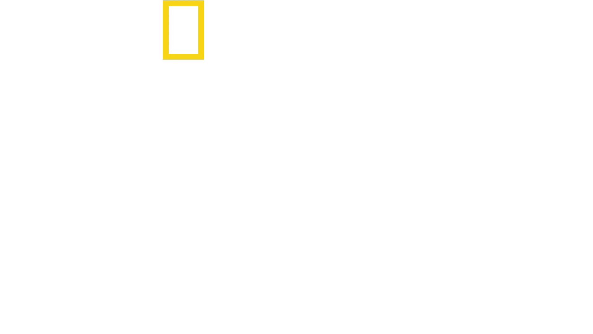 Chuť domova s Antonim Porowskim