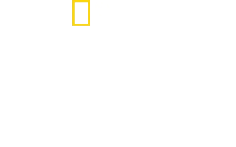 Chuť domova s Antonim Porowskim