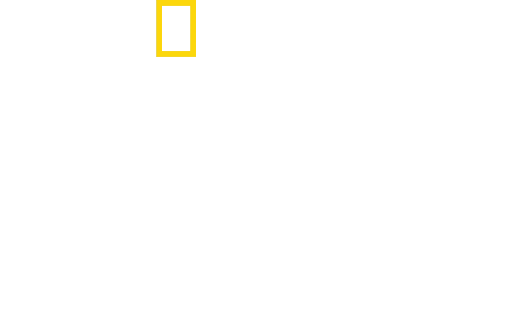 Chuť domova s Antonim Porowskim