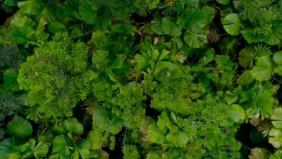 thumbnail - S1:E5 Peaceful Patterns