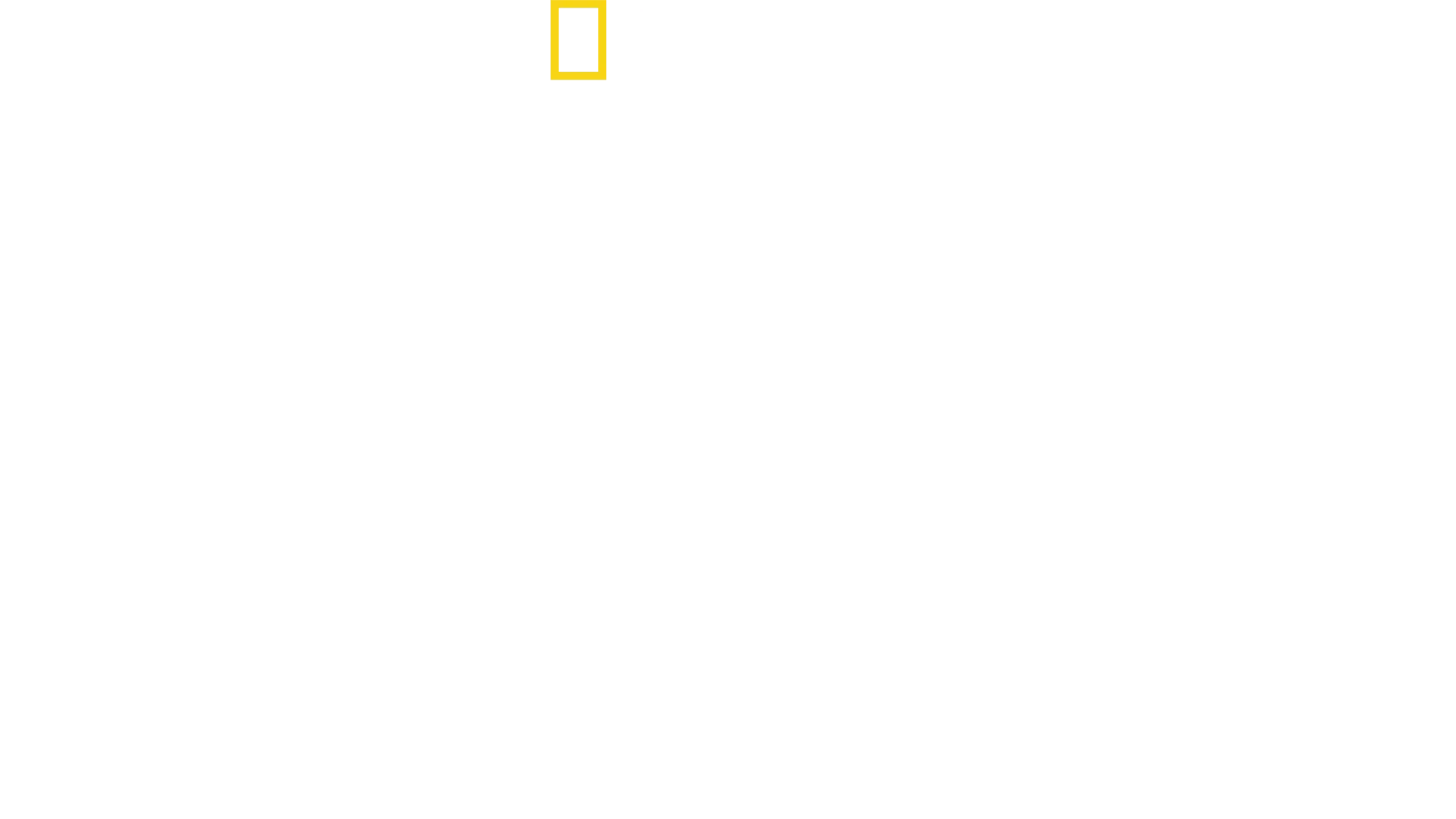 Das Stanford-Prison-Experiment: Was geschah wirklich?