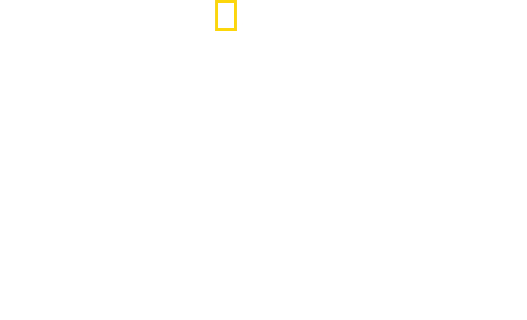 Das Stanford-Prison-Experiment: Was geschah wirklich?