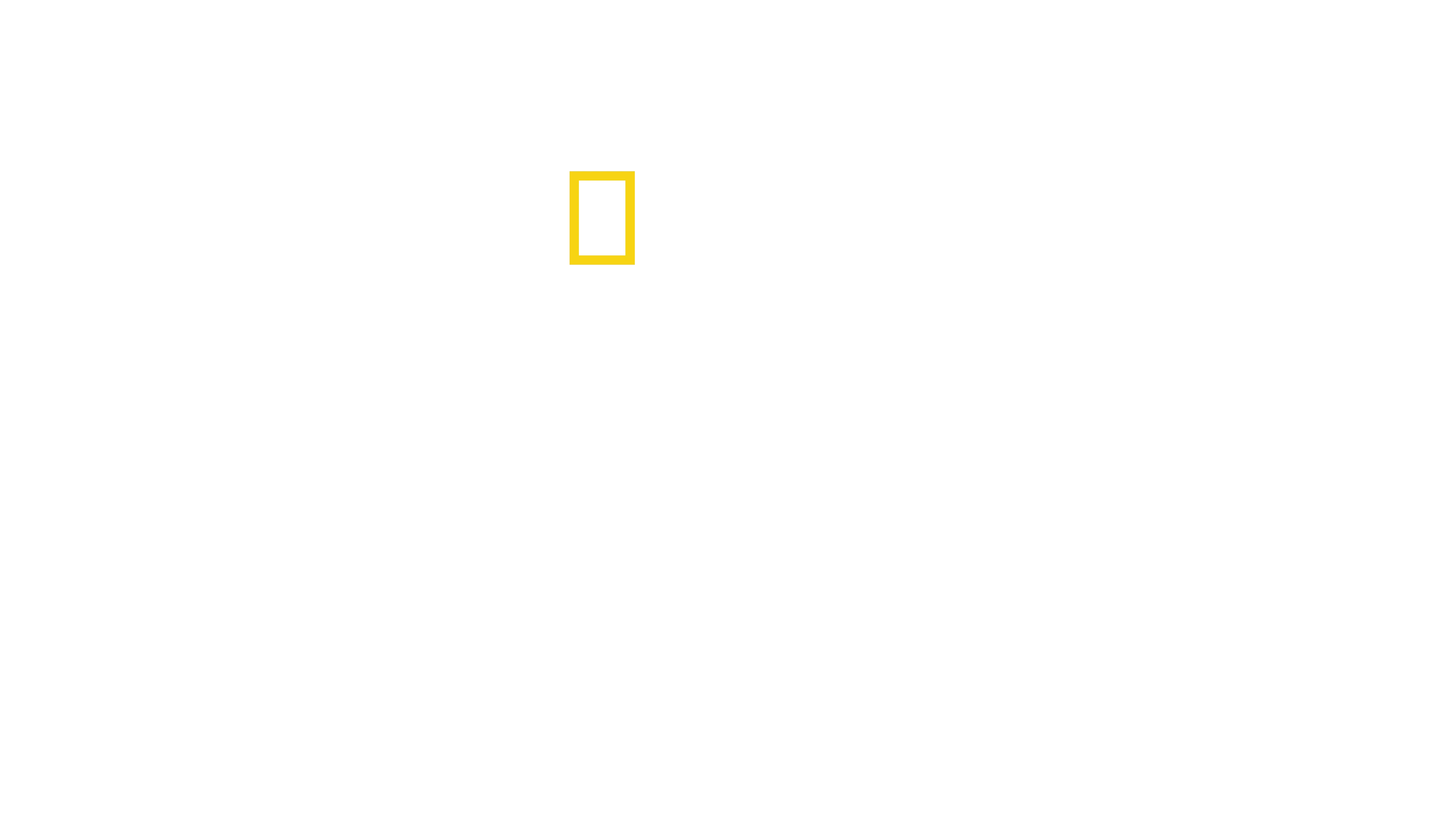 Les secrets de la pieuvre