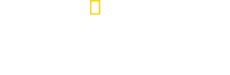 Les secrets de la pieuvre