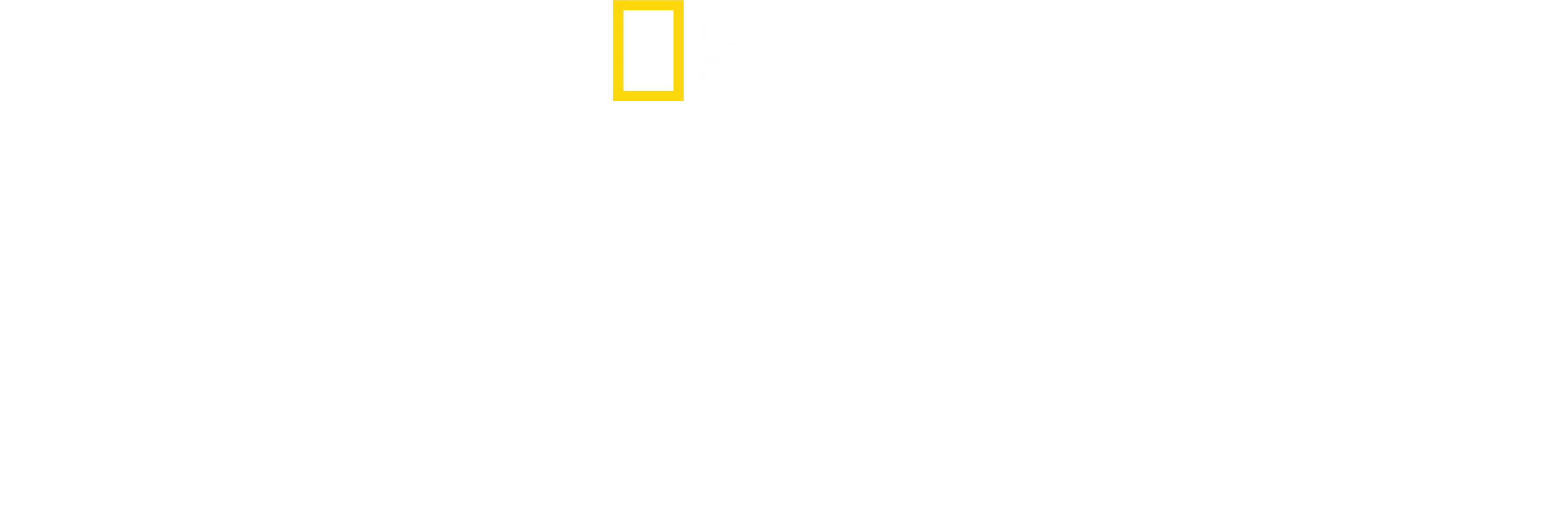 Les secrets de la pieuvre