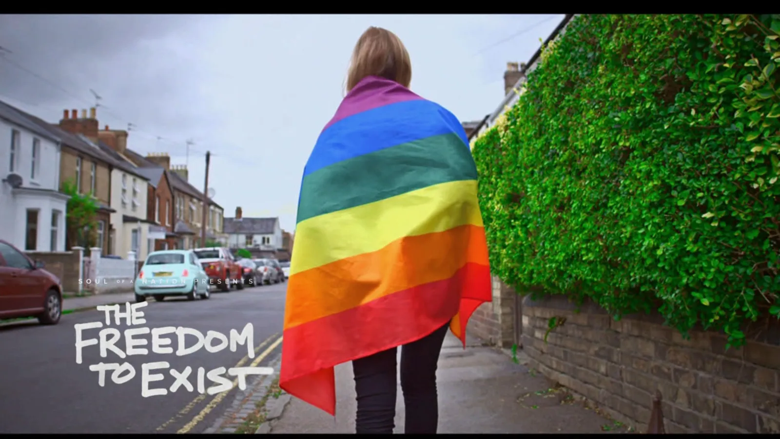 thumbnail - The Freedom to Exist – A Soul of a Nation Presentation
