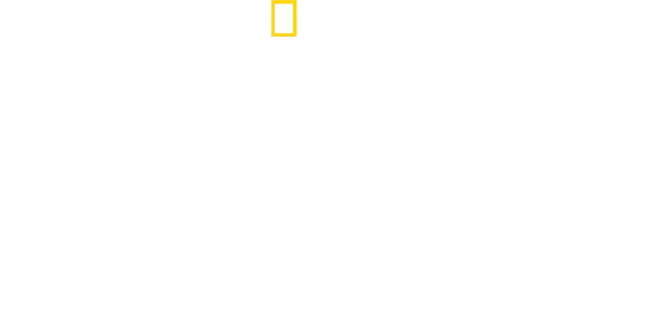 Fiennes Return to the Wild