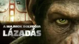 thumbnail - A majmok bolygója - Lázadás