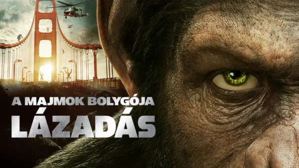thumbnail - A majmok bolygója - Lázadás